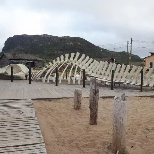 Уик-энд на Кольском: Териберка, Мурманск и день с программой на выбор