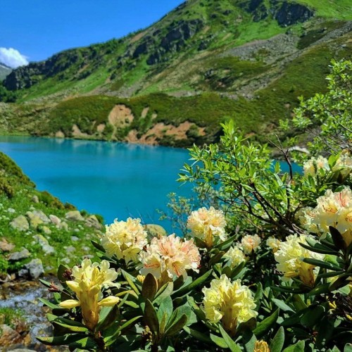 В горы — от суеты и забот: треккинг в Архызе без рюкзаков