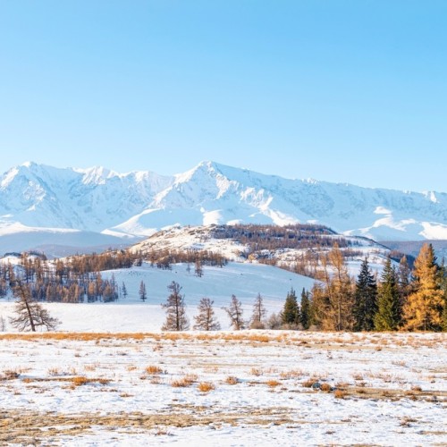 Автопутешествие по Горному Алтаю: Уймонская долина, Белуха и «каменные бабы» (мини-группа)