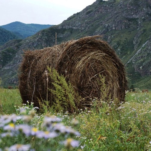 Неделя на Алтае: Телецкое озеро, Катунь и Чуйский тракт в мини-группе