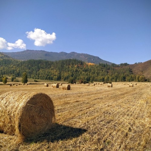 Экскурсия-трансфер по Чуйскому и Уймонскому трактам – от аэропорта до Тюнгура
