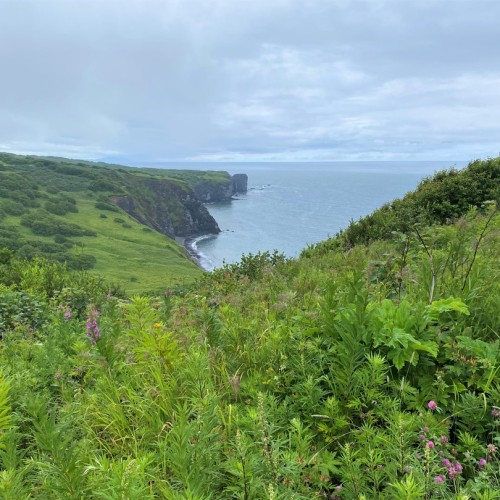 Камчатка в мини-группе: перевалы, бухты, сопки и купание в природных источниках