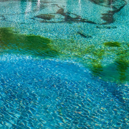 Топовые и необычные места Алтая в мини-группе: Чуйский тракт, озеро Джангыскёль и лёгкий треккинг