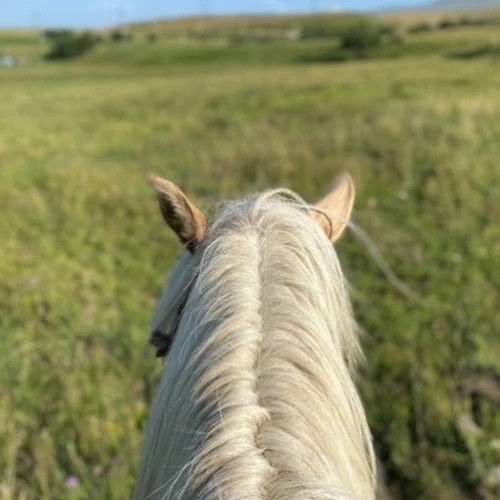 Путешествие-перезагрузка в горном ауле Дагестана только для вашей компании