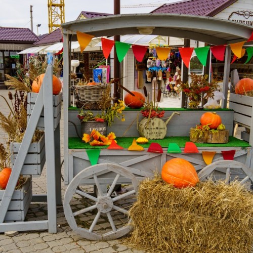 Топовые места Алтая в мини-группе: Гейзерное озеро, Чуйский тракт, долина Горных духов и Патмос