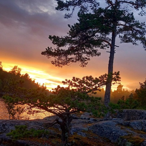 В Карелию из Петербурга индивидуально: природа, кирхи и крепости, знакомство с культурой