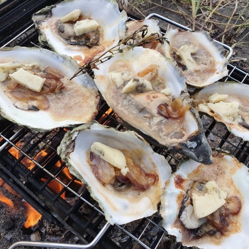 Сахалин, Кунашир и Шикотан: 2 недели на краю света