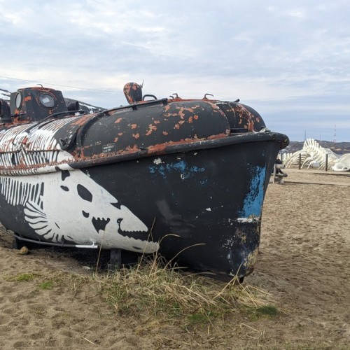 Путешествие в Арктику только для вас: Мурманск, Териберка, северное сияние и локации на ваш выбор
