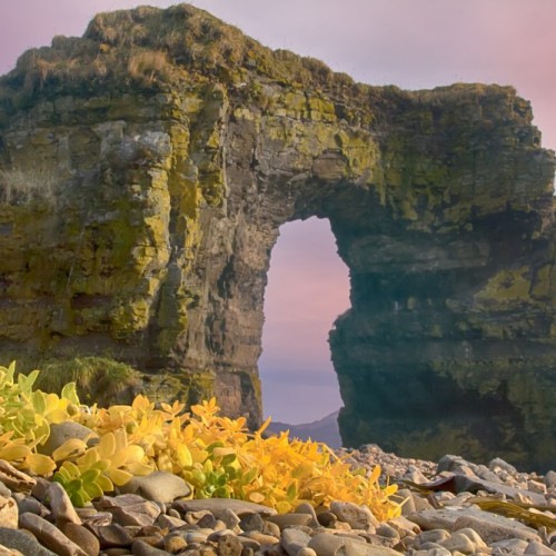 VIP-круиз с экспертами и музыкантами от Камчатки до Чукотки (всё включено)