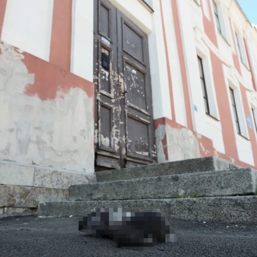 Страшная прогулка по Васильевскому острову