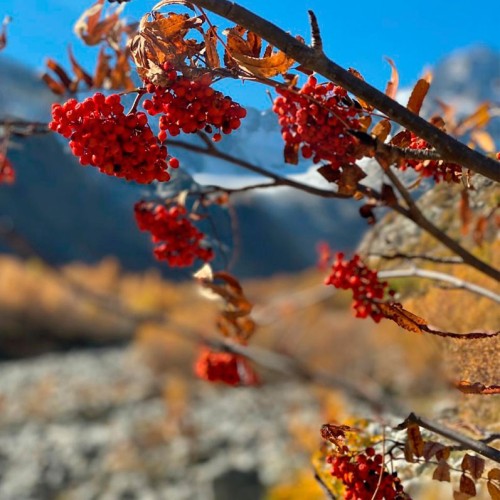 Семейный треккинг в Дигории с размещением в гостинице