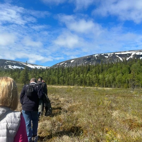 Приключения в Арктике в мини-группе: Териберка, Ловозеро, Хибины и Кировск с активностями