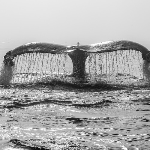 Джип-тур на Итуруп и Шикотан в мини-группе: неизведанные места, релакс в термах и гастрономия