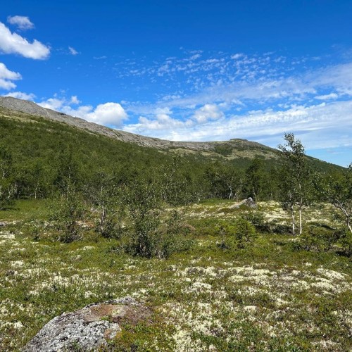 Активный тур на Кольский: Мурманск, Териберка, Хибины и полуострова Рыбачий и Средний