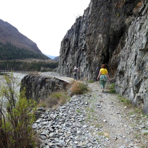 Майские на Алтае в сезон цветения маральника с ежедневными прогулками (всё включено)