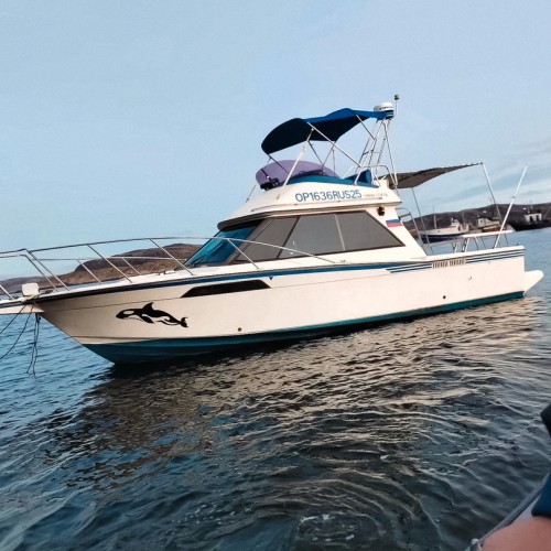 За атмосферой Арктики: тур из Мурманска в Териберку с дегустацией и прогулками по главным местам