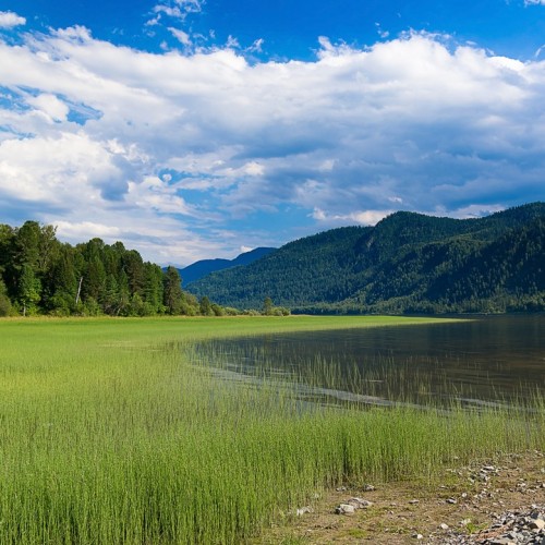 Алтайская кругосветка: на минивэне по кольцевому маршруту и топовым локациям