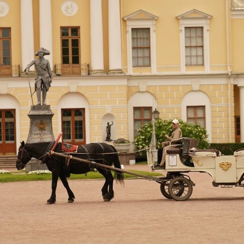 Конная прогулка по Павловскому парку с экскурсией!