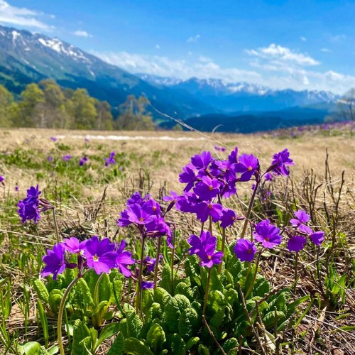 Весенний Архыз: треккинг налегке с проживанием в гостинице