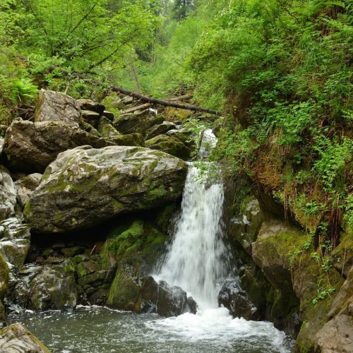 Горное озеро: авторская экскурсия