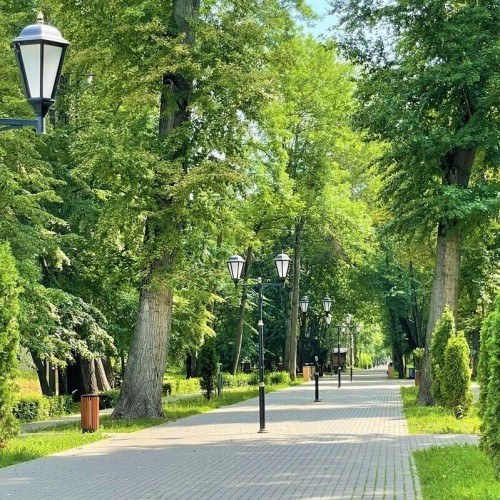 Со вкусом вина и ароматом лаванды: в Липецкую и Тульскую области из Москвы