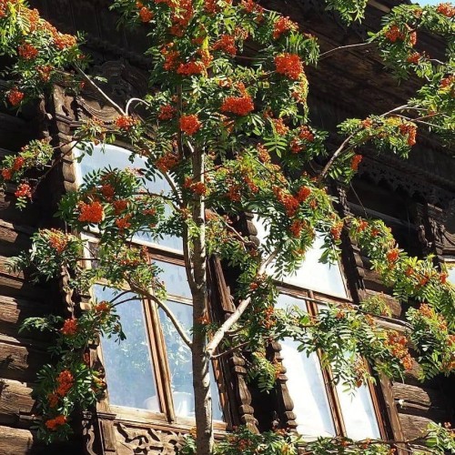 Изумрудный Томск: музеи, сибирская кухня и деревянное зодчество