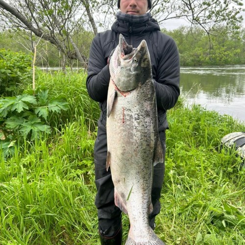 Рыбалка на Камчатке: ловим королевского лосося на реке Большой