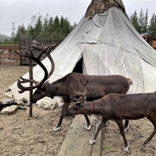Очарование Севера: этнодеревня, Териберка и столица Арктики в мини-группе