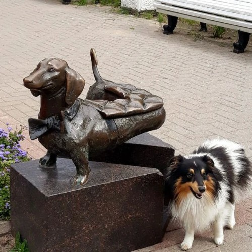 Финские истории Зеленогорска