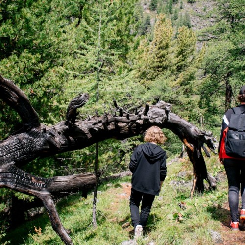 Алтай — активный: конная прогулка, лёгкий сплав и треккинг к горным озёрам + топовые локации