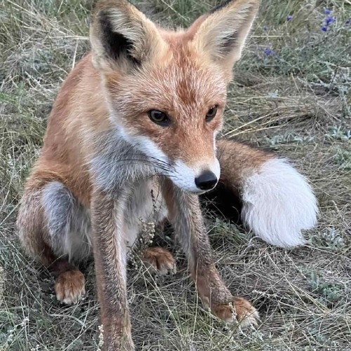 Экстрим-экспедиция на лодке вокруг Ольхона и рыбалка на Байкале только для вас