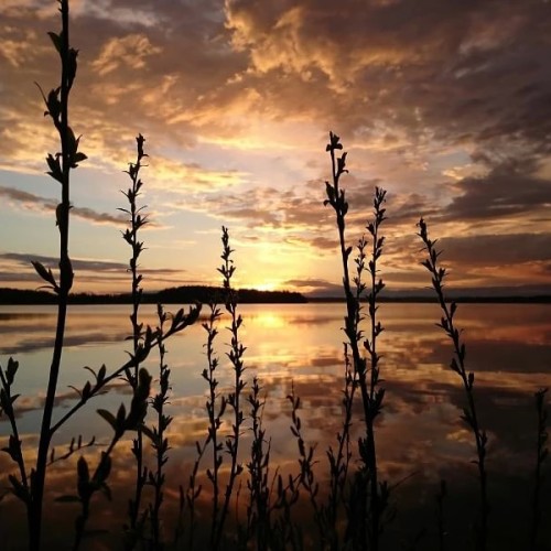 В Карелию на майские с комфортом: «Рускеала», Гирвас, Кивач и гора Сампо для всей семьи