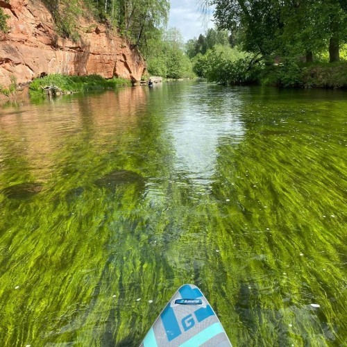 На сапбордах по реке Оредеж в мини-группе со съёмкой