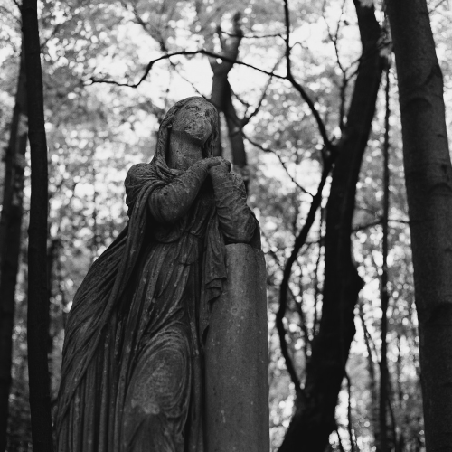 Мобильный квест в Петербурге «Тайны Смоленского кладбища»