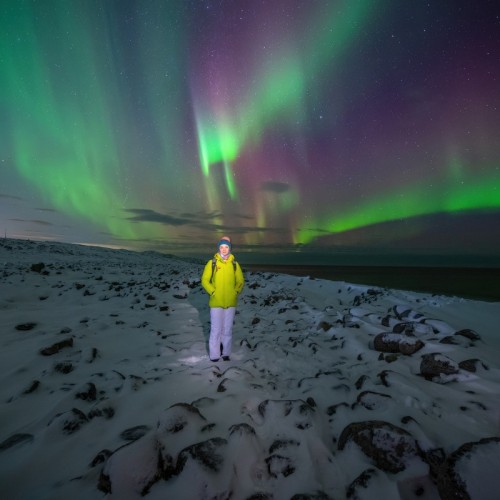 Новогодний отпуск в Териберке с праздничным ужином, арктическими блюдами и морскими деликатесами