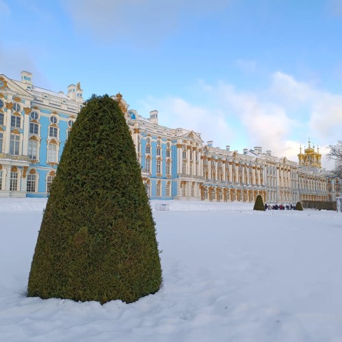 Царское село: Екатерининский дворец и янтарная комната (всё включено)