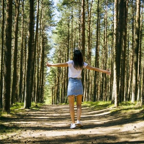 Отпуск у Балтийского моря: Зеленоградск и топовые места области