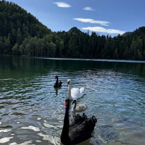 Наследие южного Байкала только для вас: Саяны, живописные водоёмы и культура Бурятии