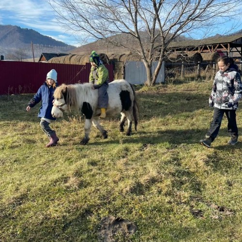 Агроэкскурсия на ферму и мастер-класс с перьями павлина