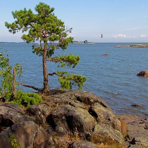 По шхерам Выборгского залива — на катере!