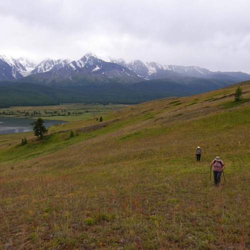 Топовые и необычные места Алтая в мини-группе: Чуйский тракт, озеро Джангыскёль и лёгкий треккинг