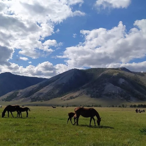 Тур на Байкал с фотографом: лучшие локации для снимков в Листвянке и бухте Песчаная