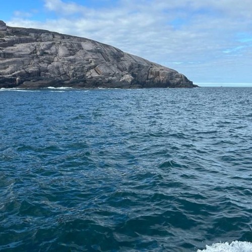 Большое приключение на Кольском в мини-группе: Териберка, корабли и красоты Арктики