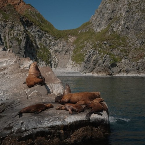 Океан впечатлений на Камчатке с фотографом: треккинги, спа, обед с видом на горы и ночь в глэмпинге