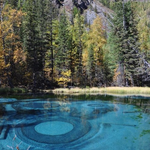 В роли кочевника на Алтае: обряды, сакральные места и дегустации традиционных блюд