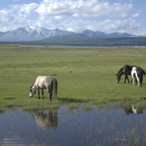 Подальше от цивилизации к озеру Хубсугул: индивидуальная поездка по Северной Монголии из Иркутска