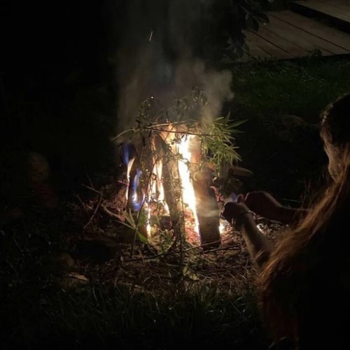 Вдохновение Алтая: ретрит в женской мини-группе с проживанием в уединённых домиках