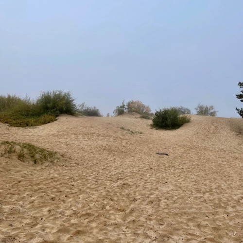 Приморский Парадиз — Сестрорецк, Репино, Комарово и Зеленогорск