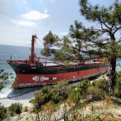 Индивидуальная поездка из Сочи: на пикапе в Геленджик и на эндуро к сухогрузу «Рио»