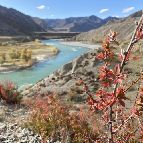 Алтайский Марс и Чуйский тракт за 2 дня в мини-группе